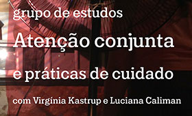 grupo de estudos online – atenção conjunta e práticas de cuidado com Virgínia Kastrup e Luciana Caliman [inscrições encerradas] [Online]