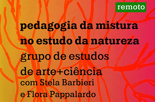 Leia mais sobre o artigo grupo de estudos online – pedagogia da mistura no estudo da natureza – grupo de estudos de arte+ciência