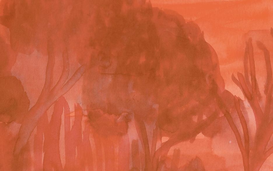 Leia mais sobre o artigo imersão Projeto do livro ilustrado