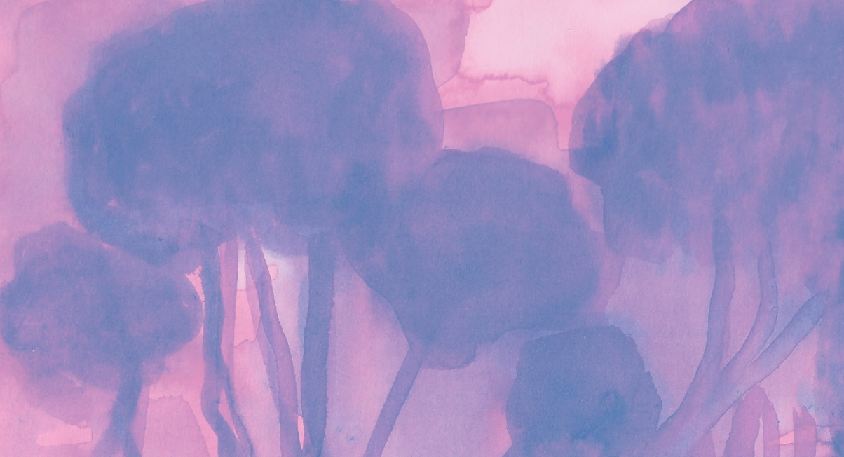 Leia mais sobre o artigo Etapas do livro ilustrado